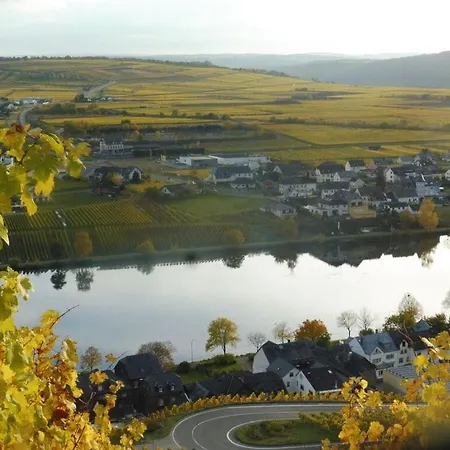 Voor 8 Tot 12 Personen *